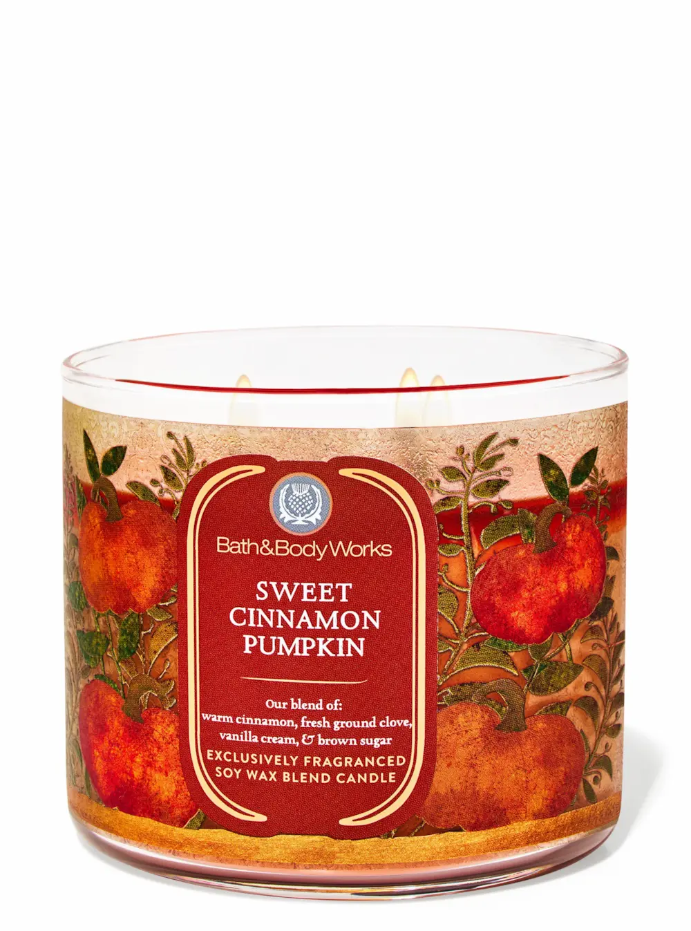 Bath & Body Works Pumpkin Cinnamon Candle