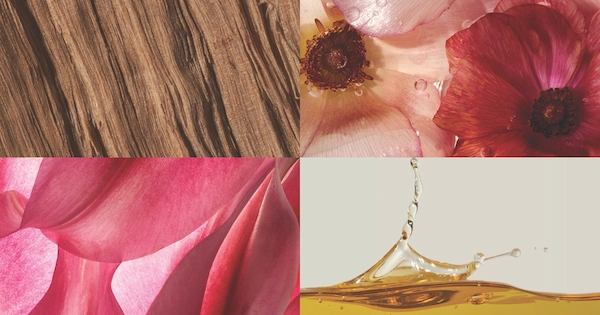 Collage image of flowers and fragrance oils