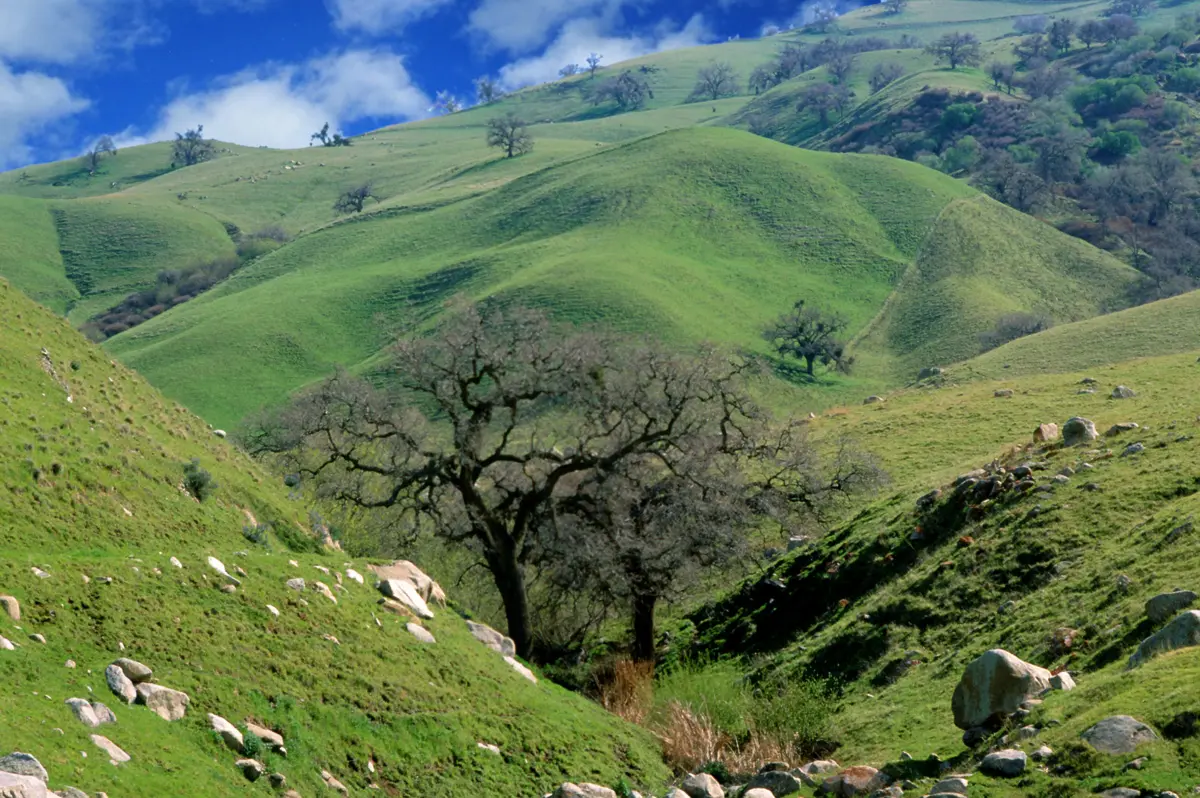 Tejon Ranch hills and nature