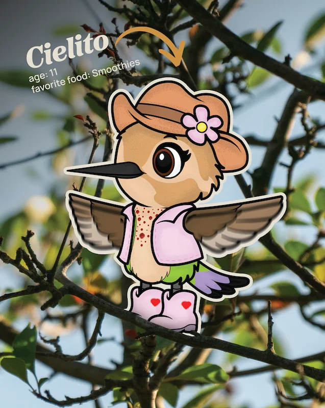 Tejon Tales Ceilito the humming bird with tree branches background