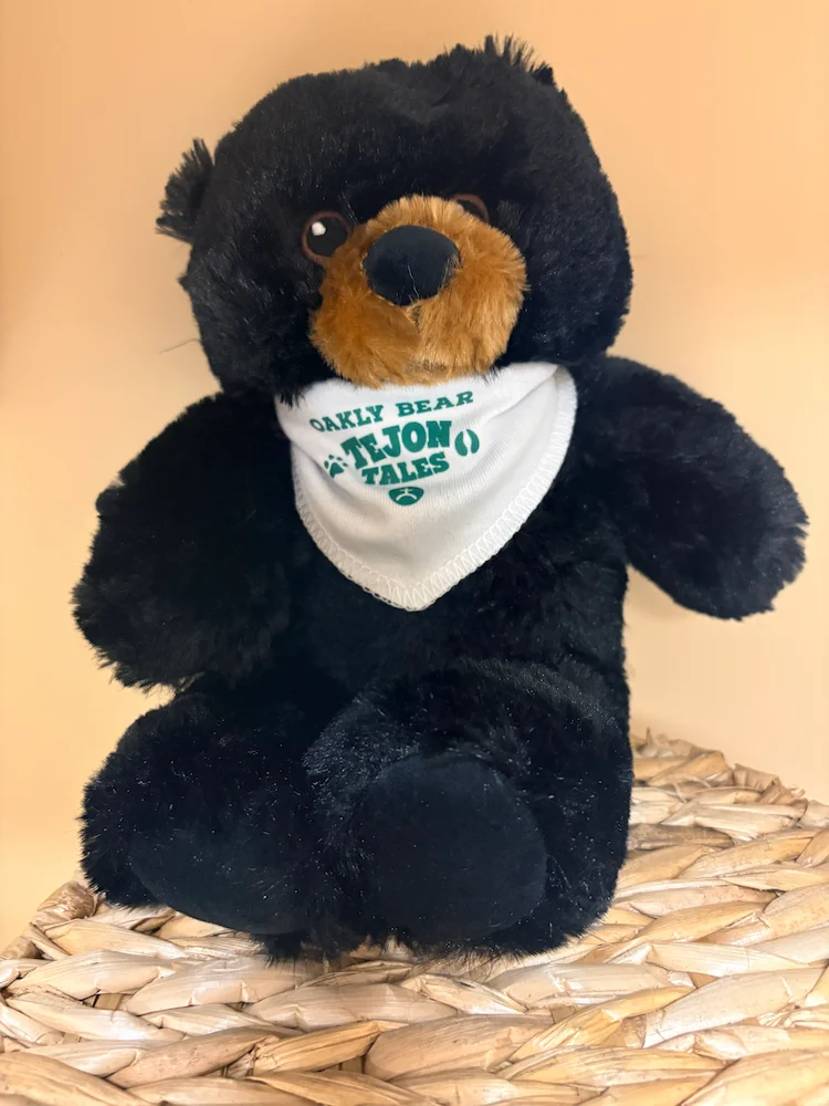 Oakly plushie from Tejon Tales Critters
